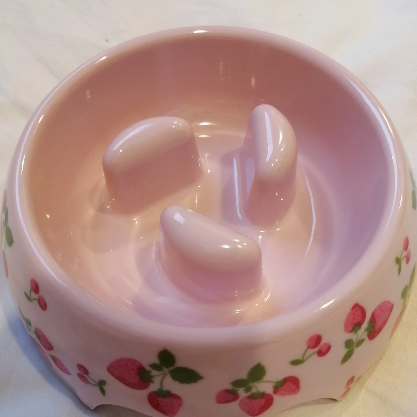 ペットパラダイス ペット用 早食い防止ボウルの写真2枚目