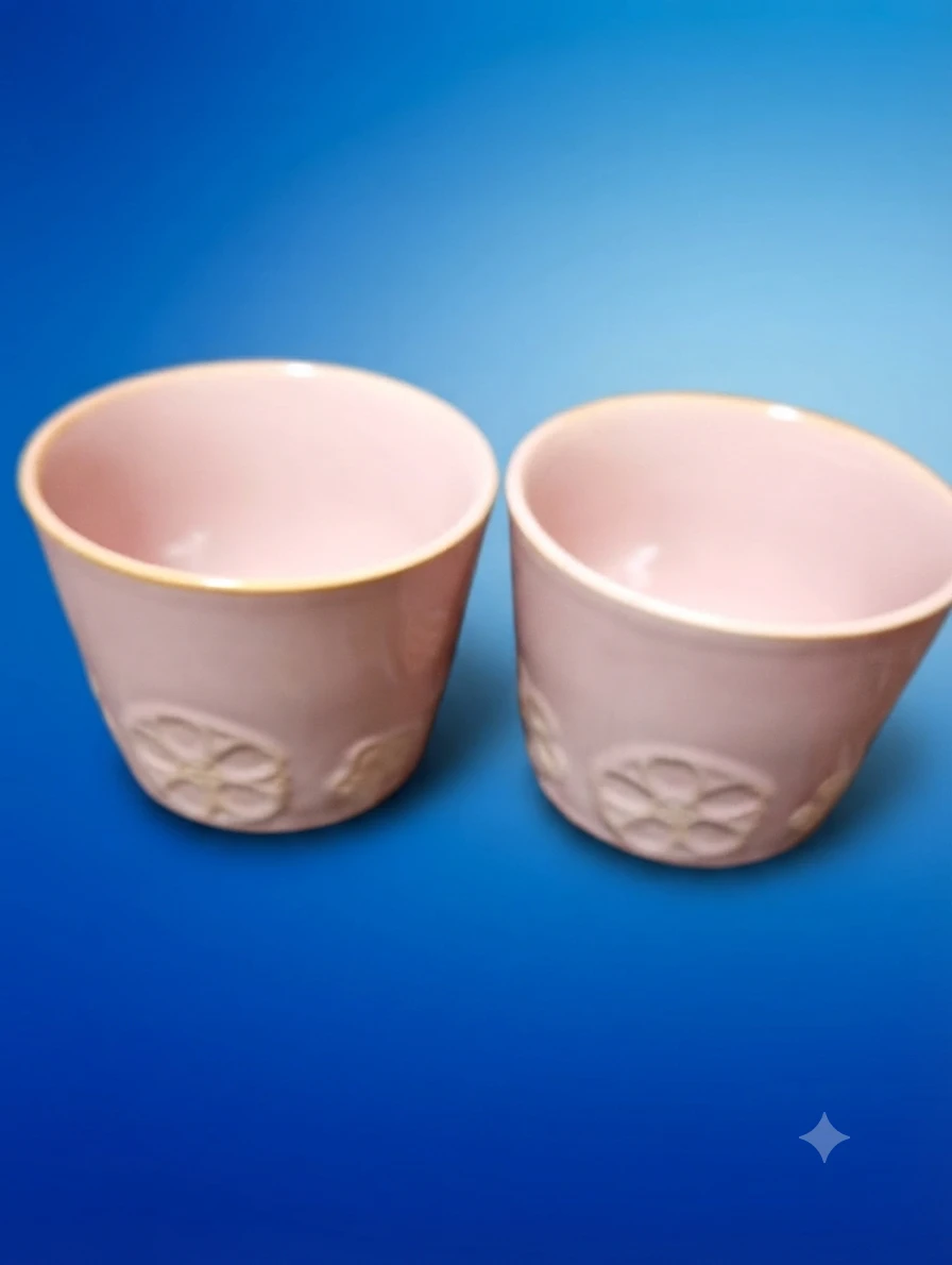 植木鉢　 2個セット ピンク