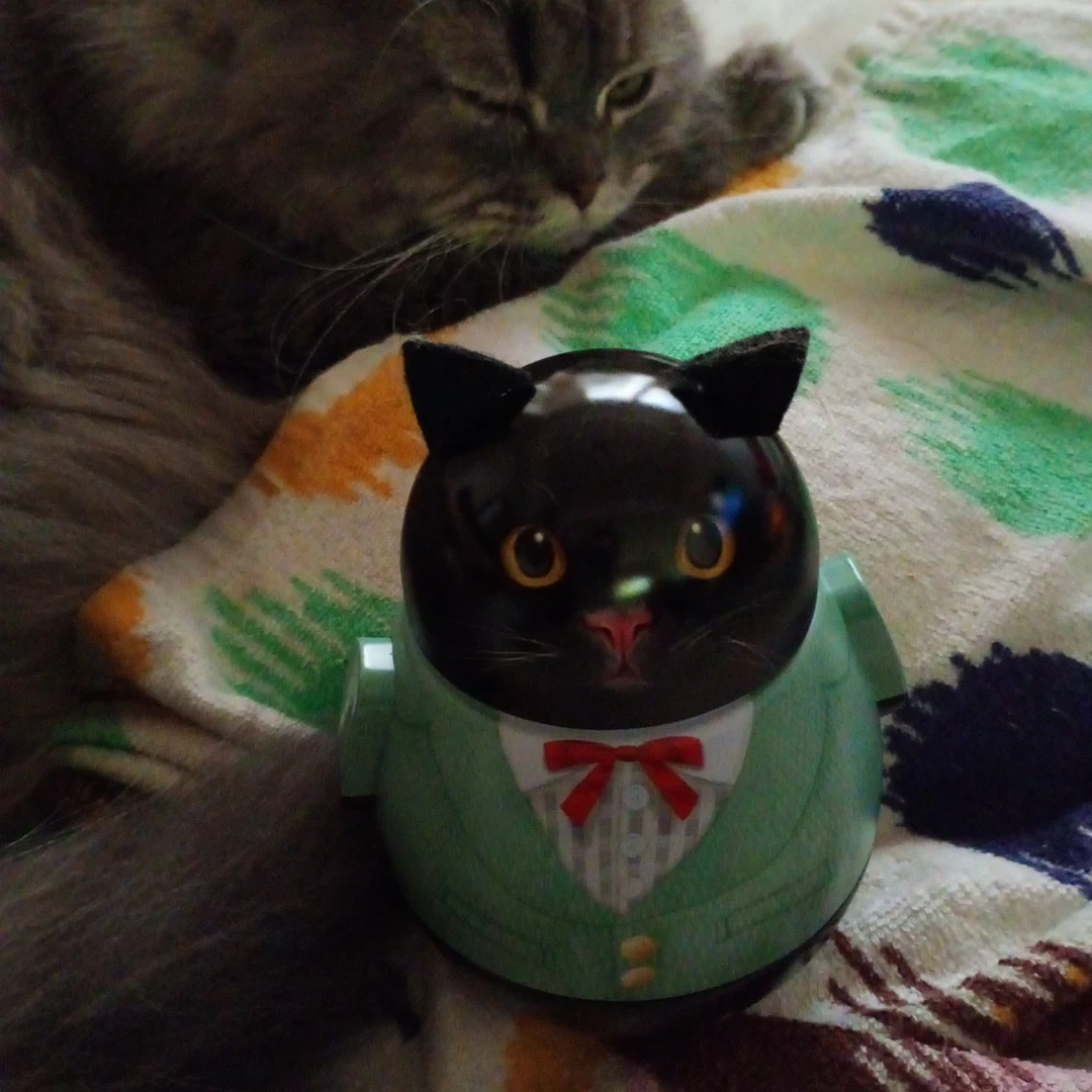 黒猫型 缶 の写真2枚目