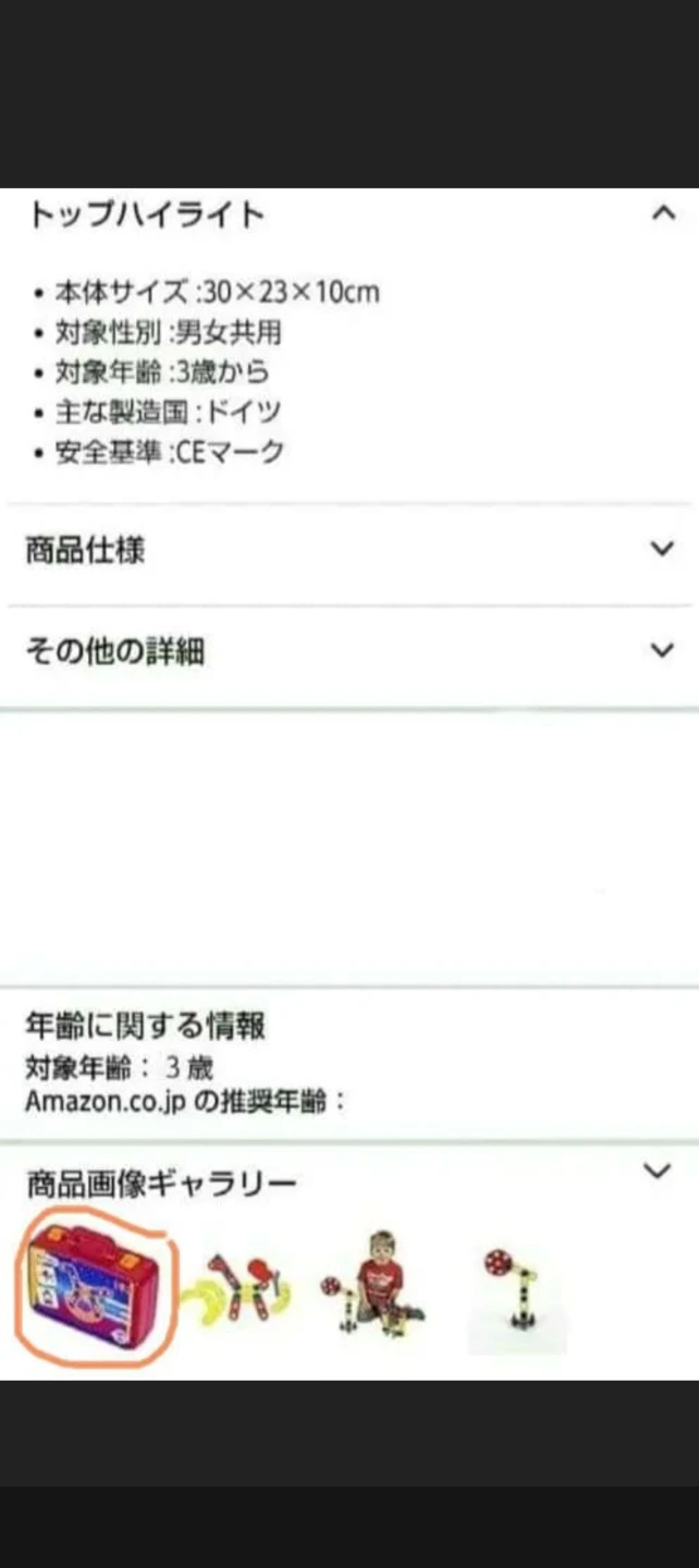 ボーネルンド テクニコ スターターボックス 知育玩具の写真9枚目
