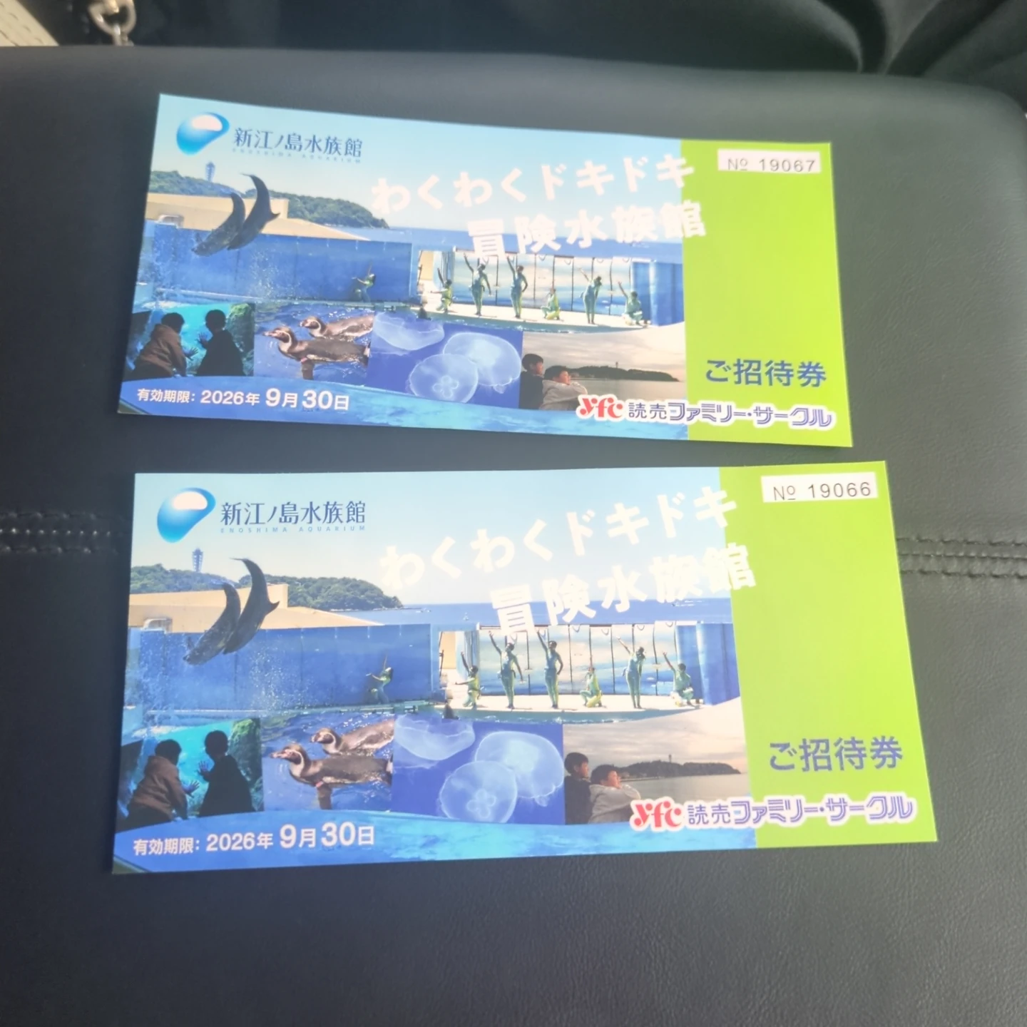 破格！新江ノ島水族館 ご招待券 2枚セット
