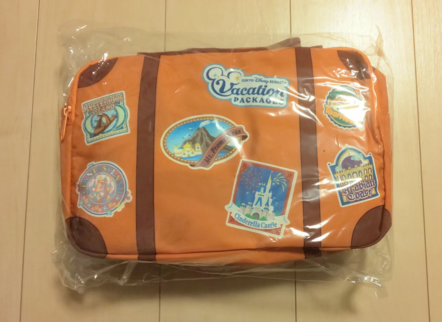 東京ディズニーリゾートバケパグッズの写真2枚目