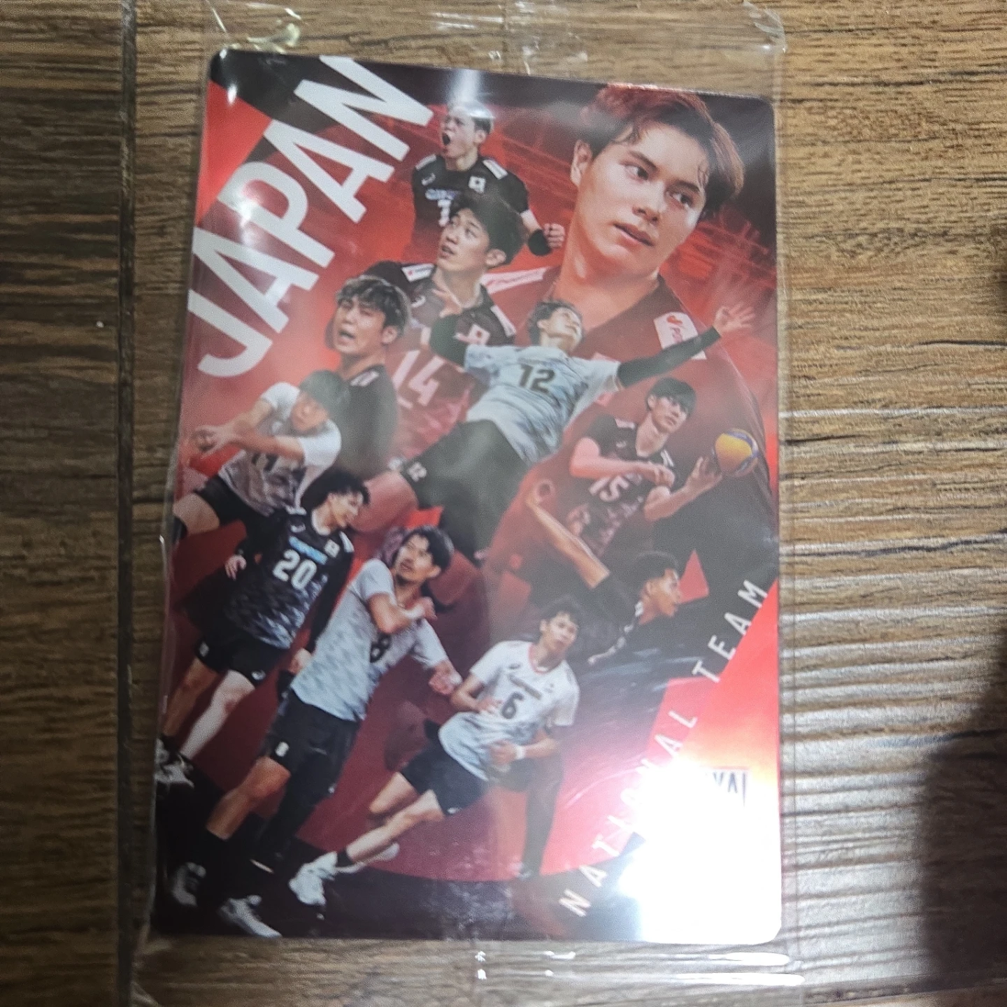 バレーボール日本代表 クリアカード