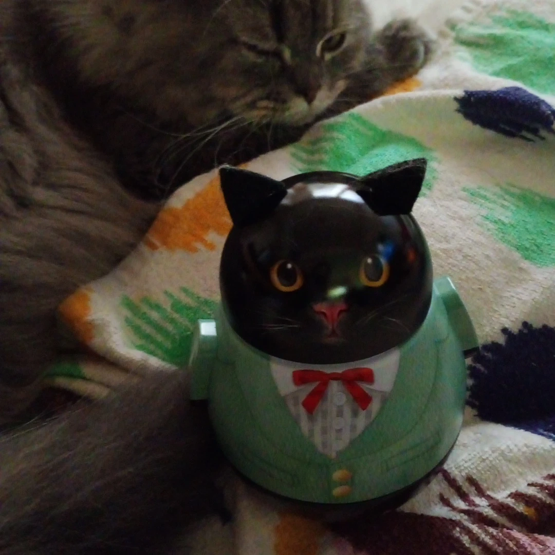 黒猫型 缶