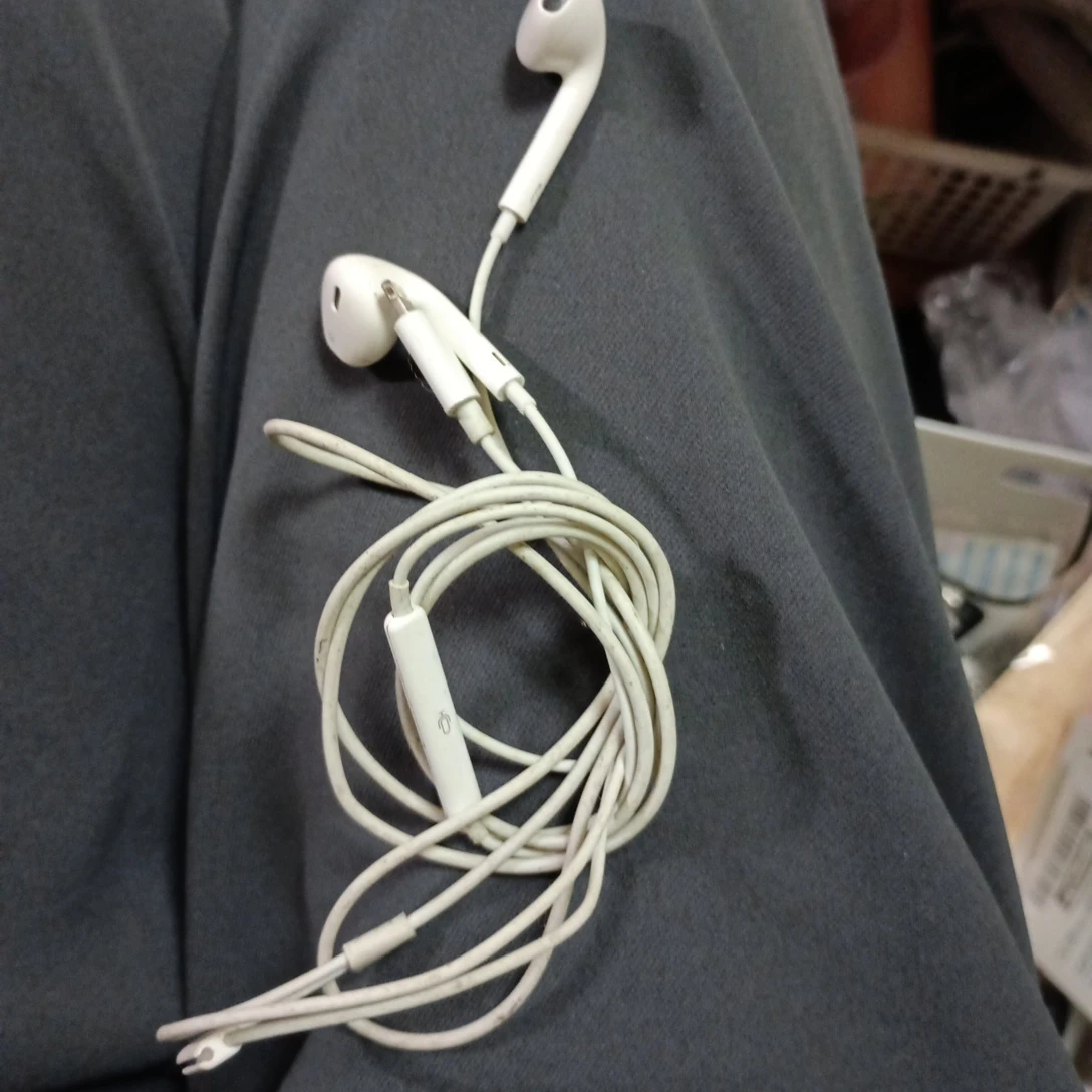 アップル イヤホン ライトニング端子