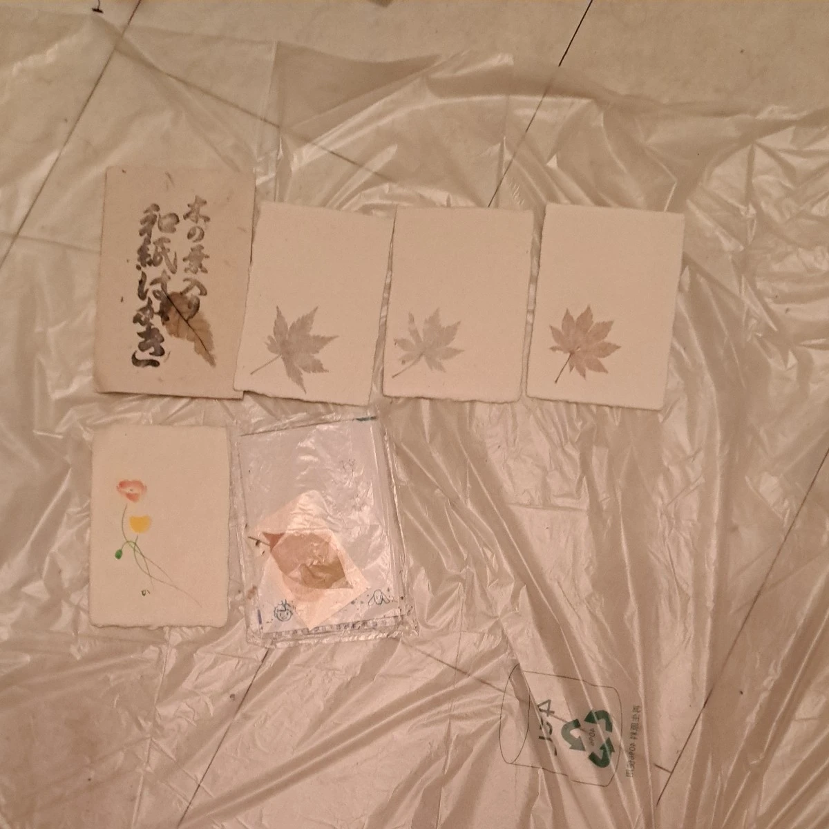 和紙工房はがき作品渡辺篤史の写真3枚目