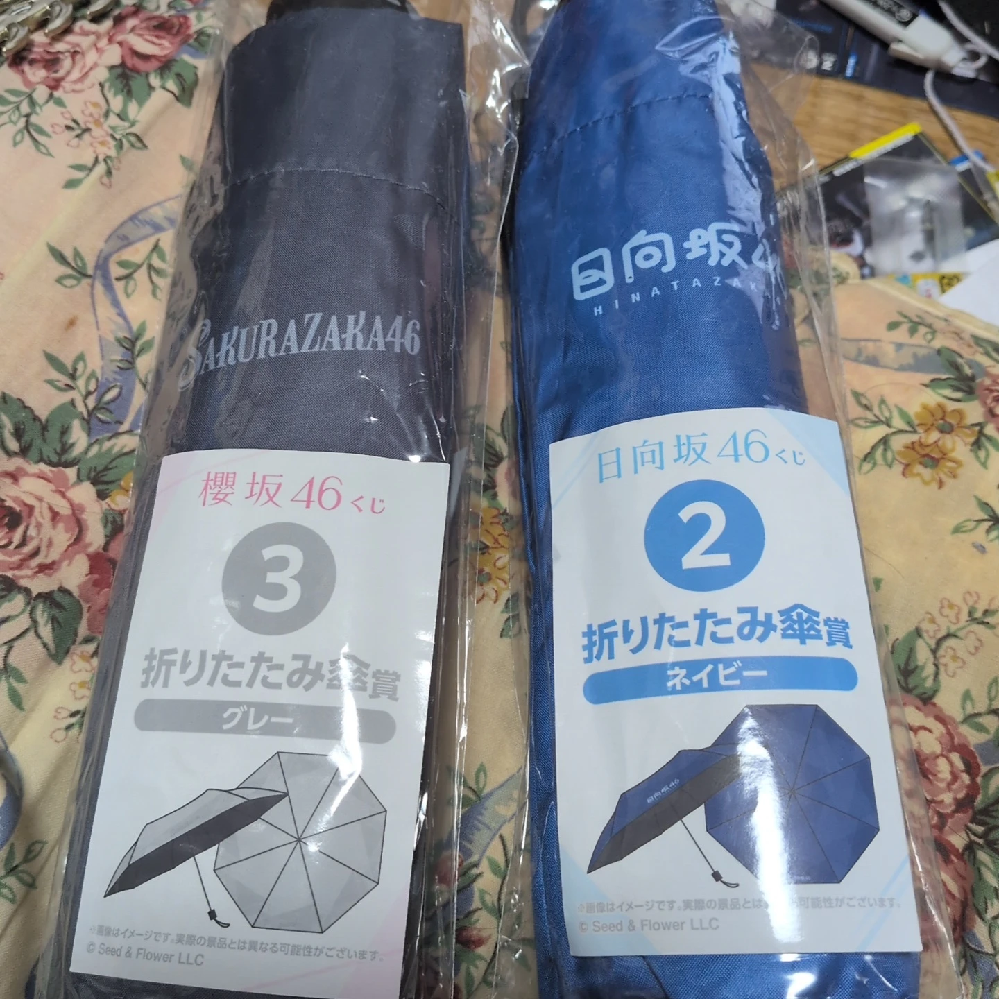 櫻坂46 日向坂46 くじ 折りたたみ傘 2本セットの写真2枚目
