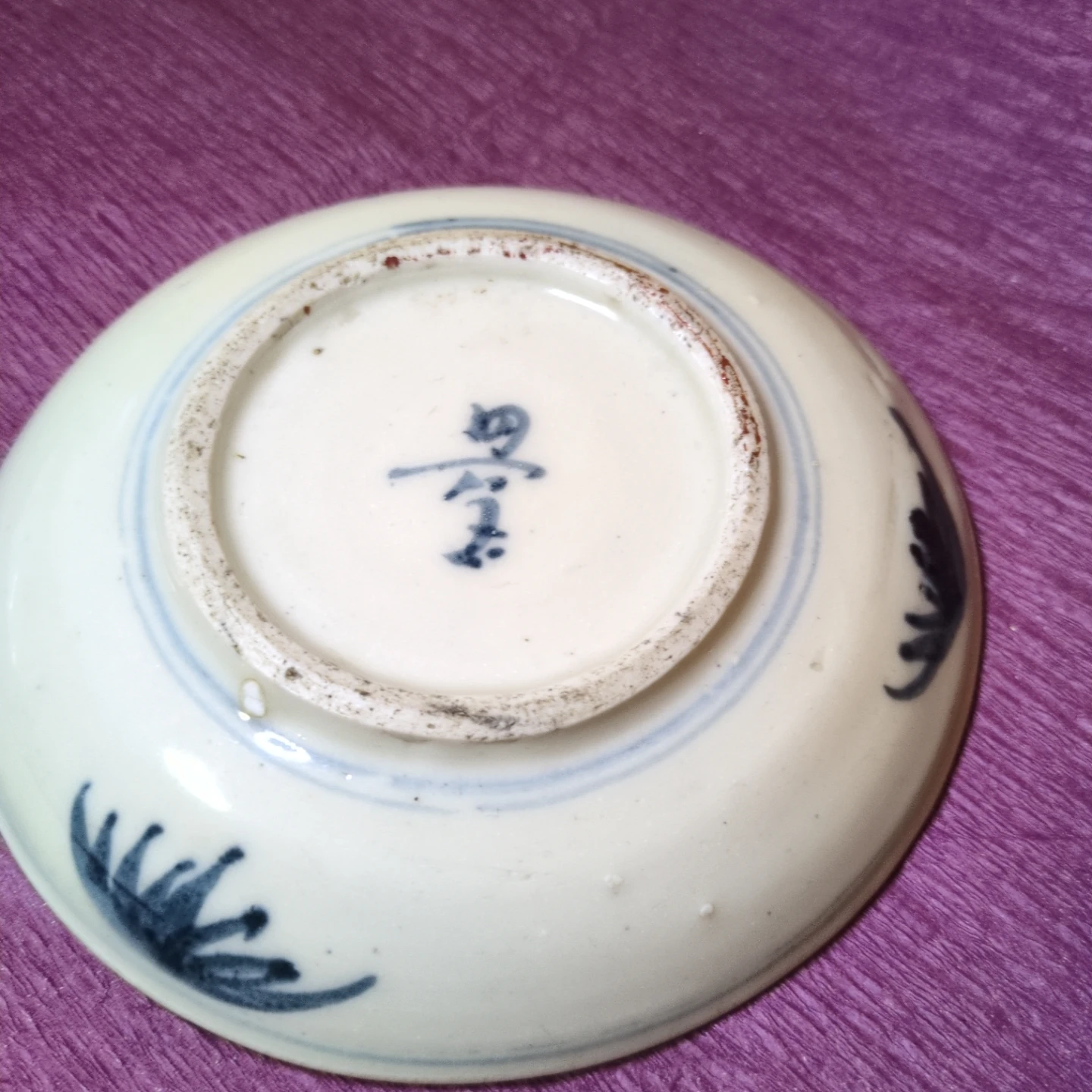 染付 魚文 皿 小皿 陶器 骨董品の写真2枚目