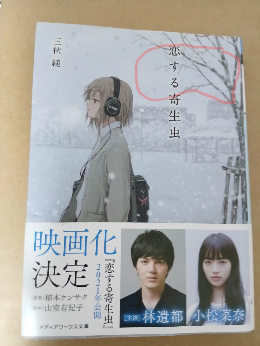 恋する寄生虫　林遣都　小松菜奈　他の有料商品1000円以上とまとめて取引の場合のみ取引します