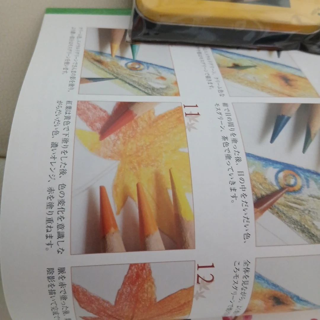 大人の塗り絵とトンボ鉛筆12色セットの写真5枚目