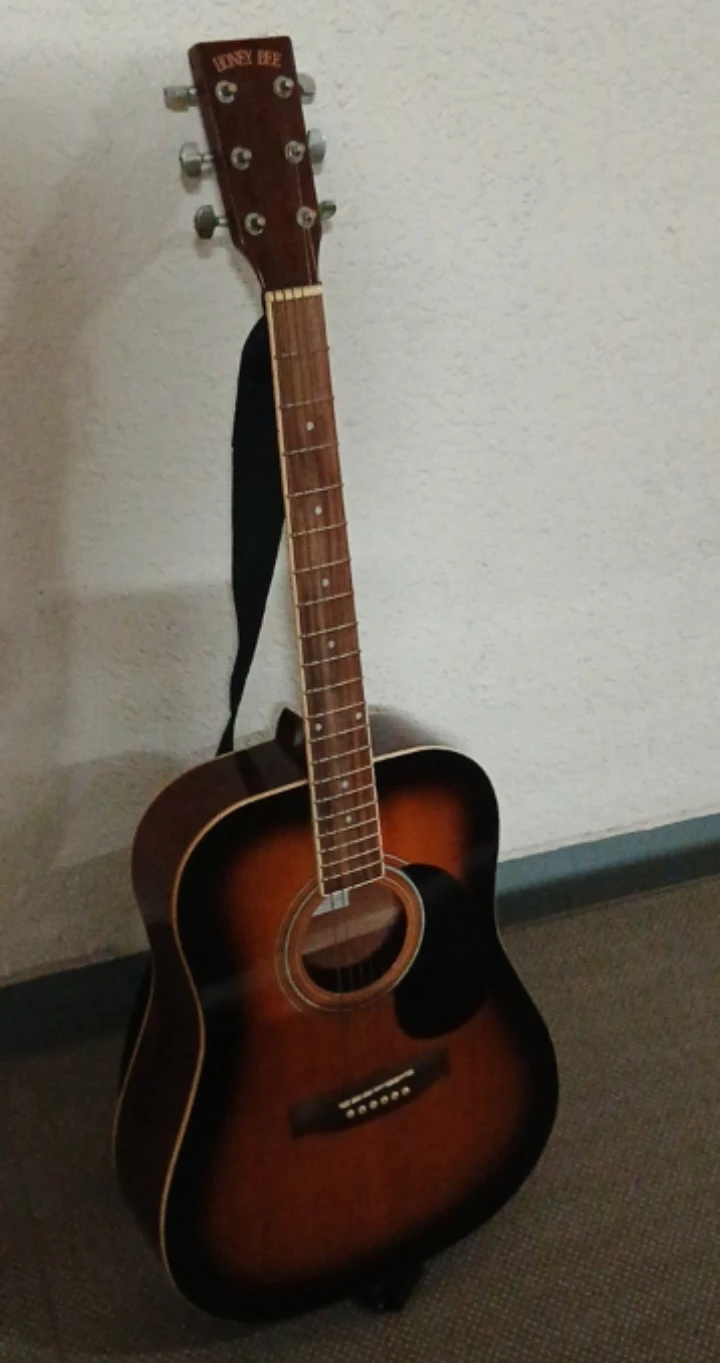 ハニービー アコースティックギター W-15/TS