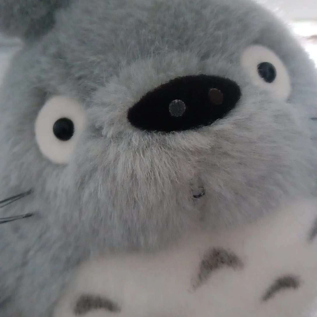 となりのトトロ ぬいぐるみの写真4枚目