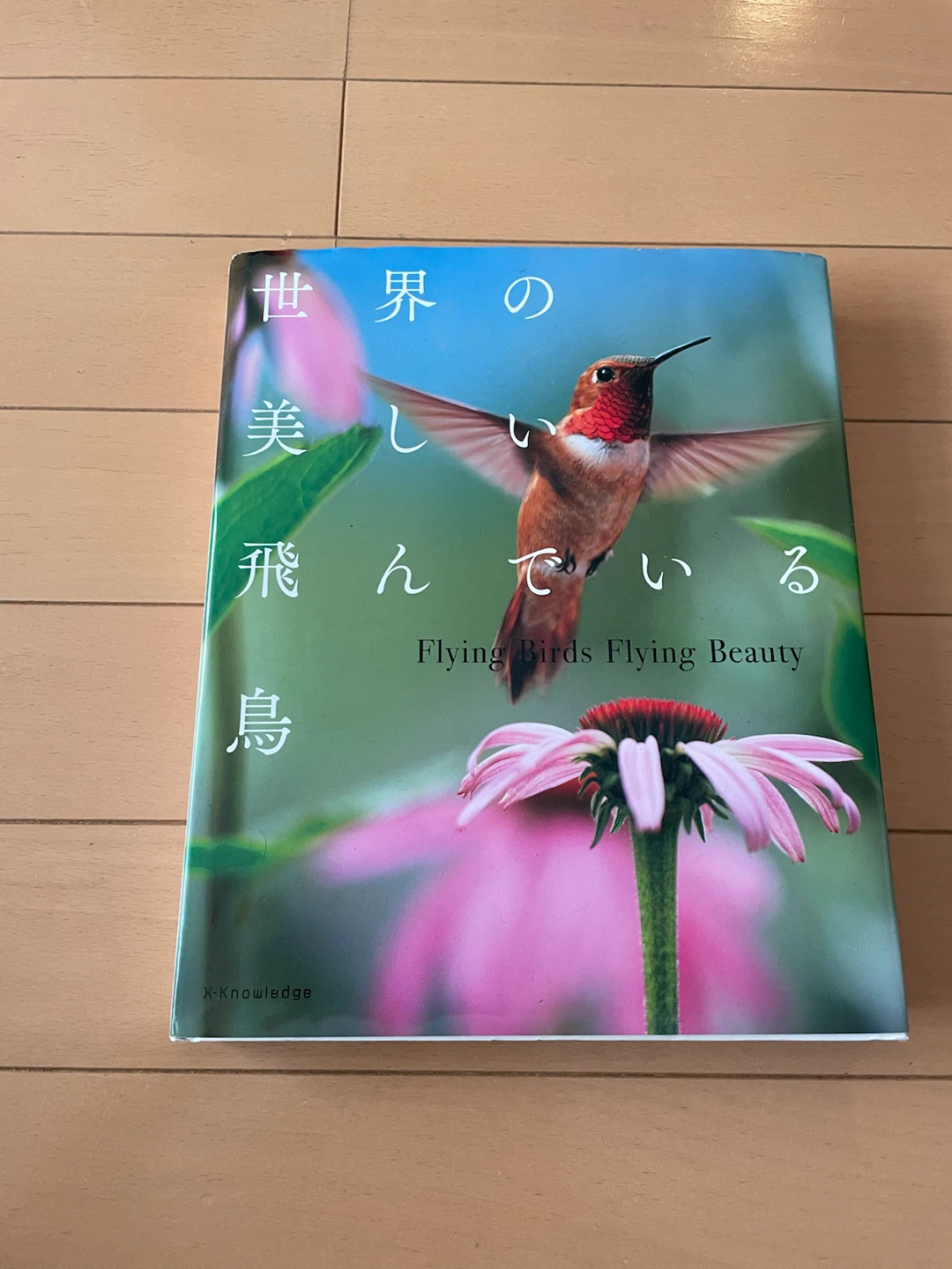 世界の美しい飛んでいる鳥 写真集