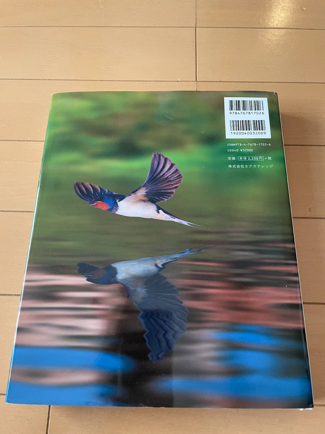 世界の美しい飛んでいる鳥 写真集の写真2枚目