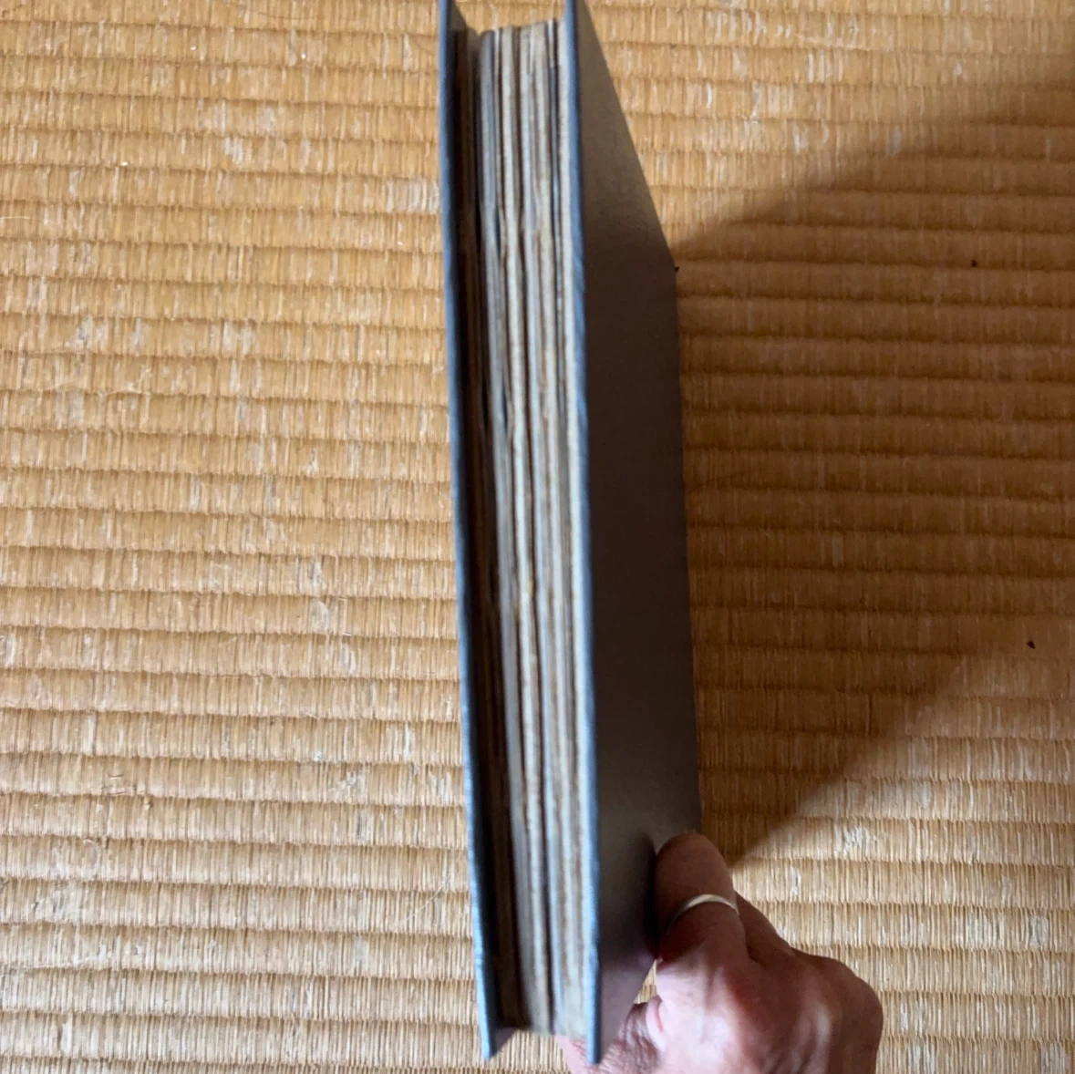 日本近代コインコレクション帳の写真9枚目