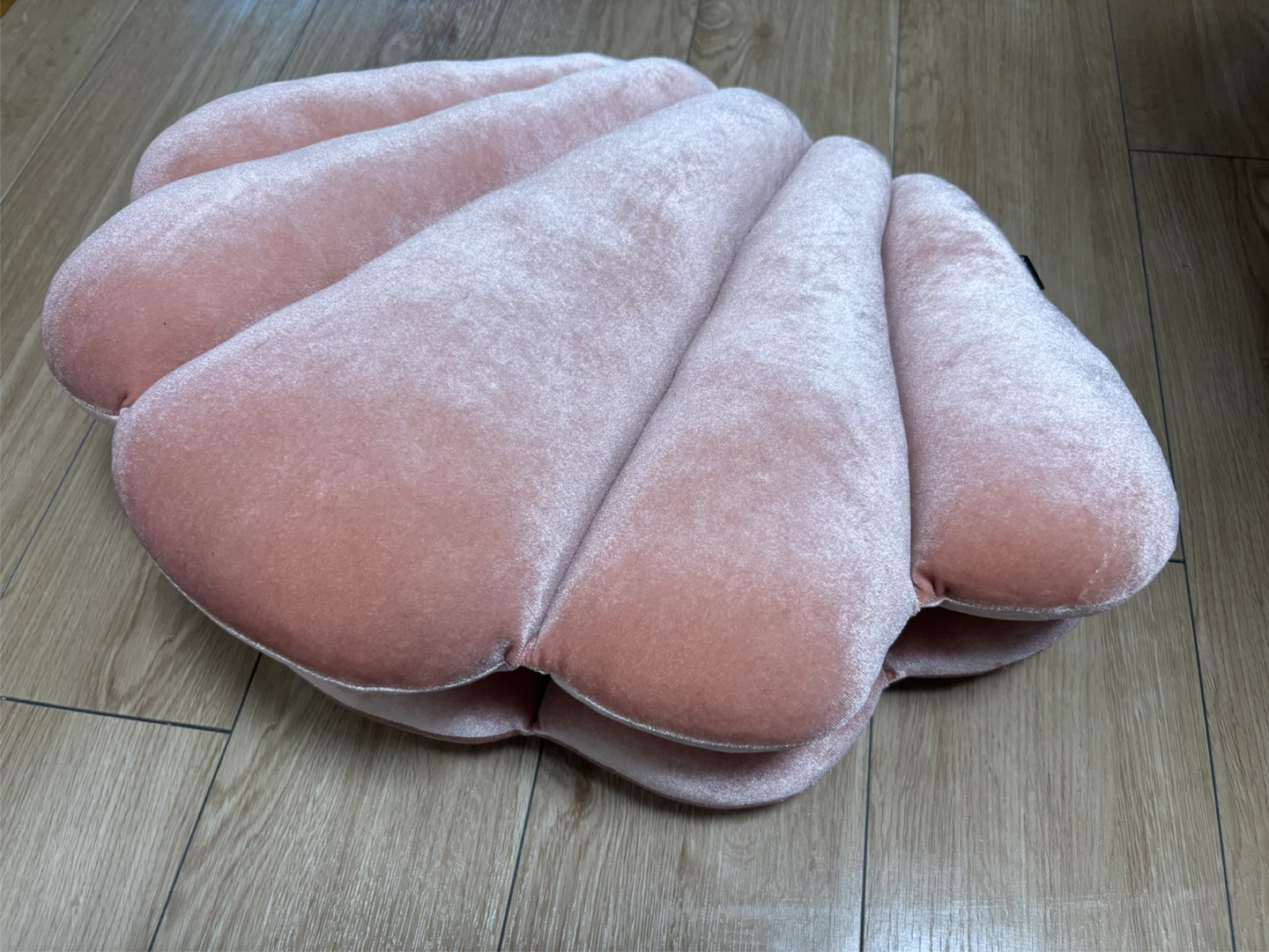 貝殻型 シェルクッション ピンク　Francfranc