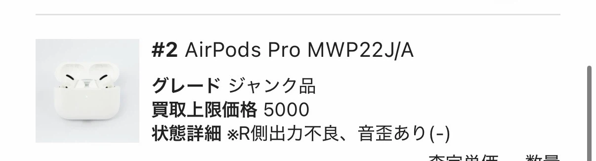 【ジャンク】アップル AirPods Pro MWP22J/Aの写真2枚目