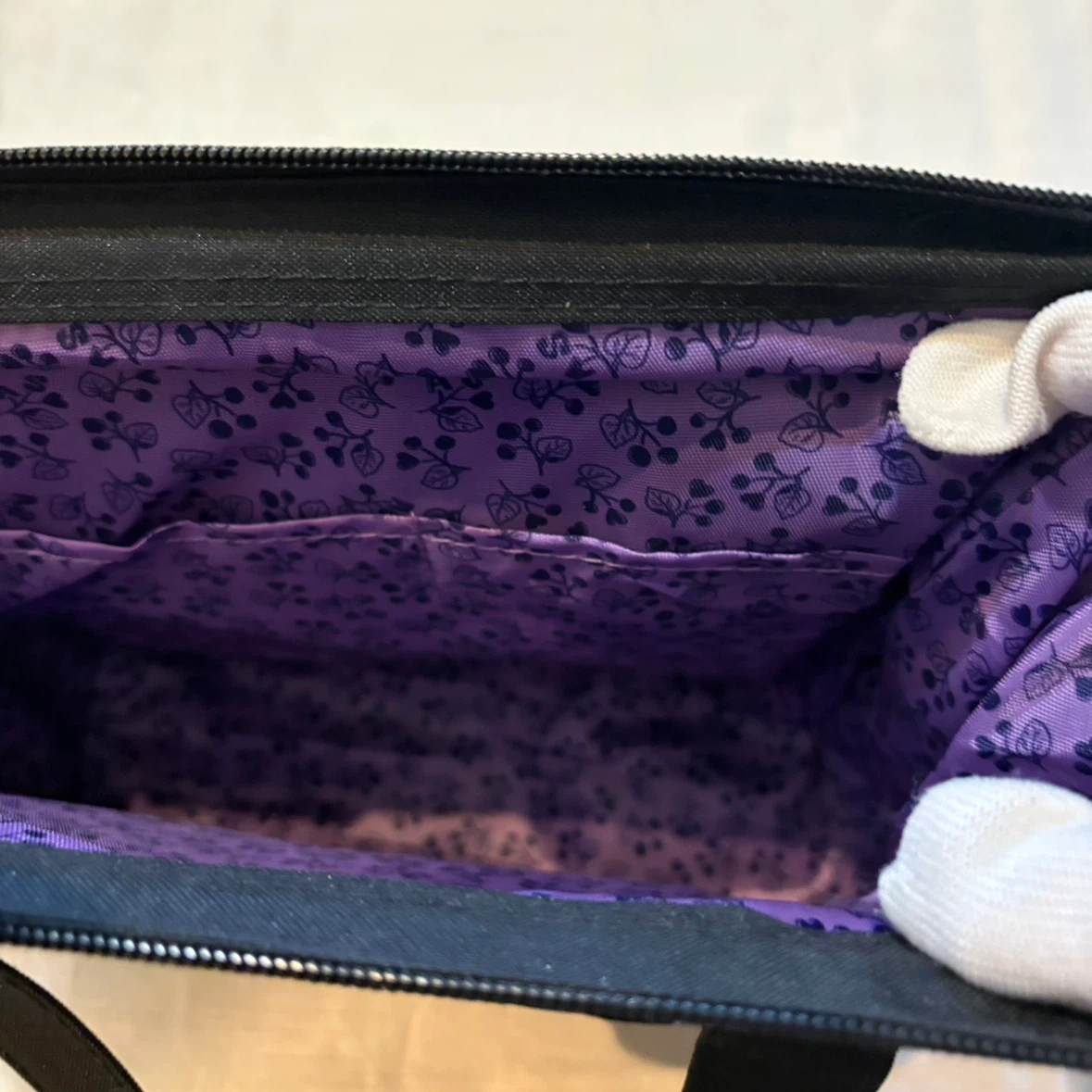 ANNA SUI mini 2WAYバッグ アナスイミニ 口金入りの写真6枚目