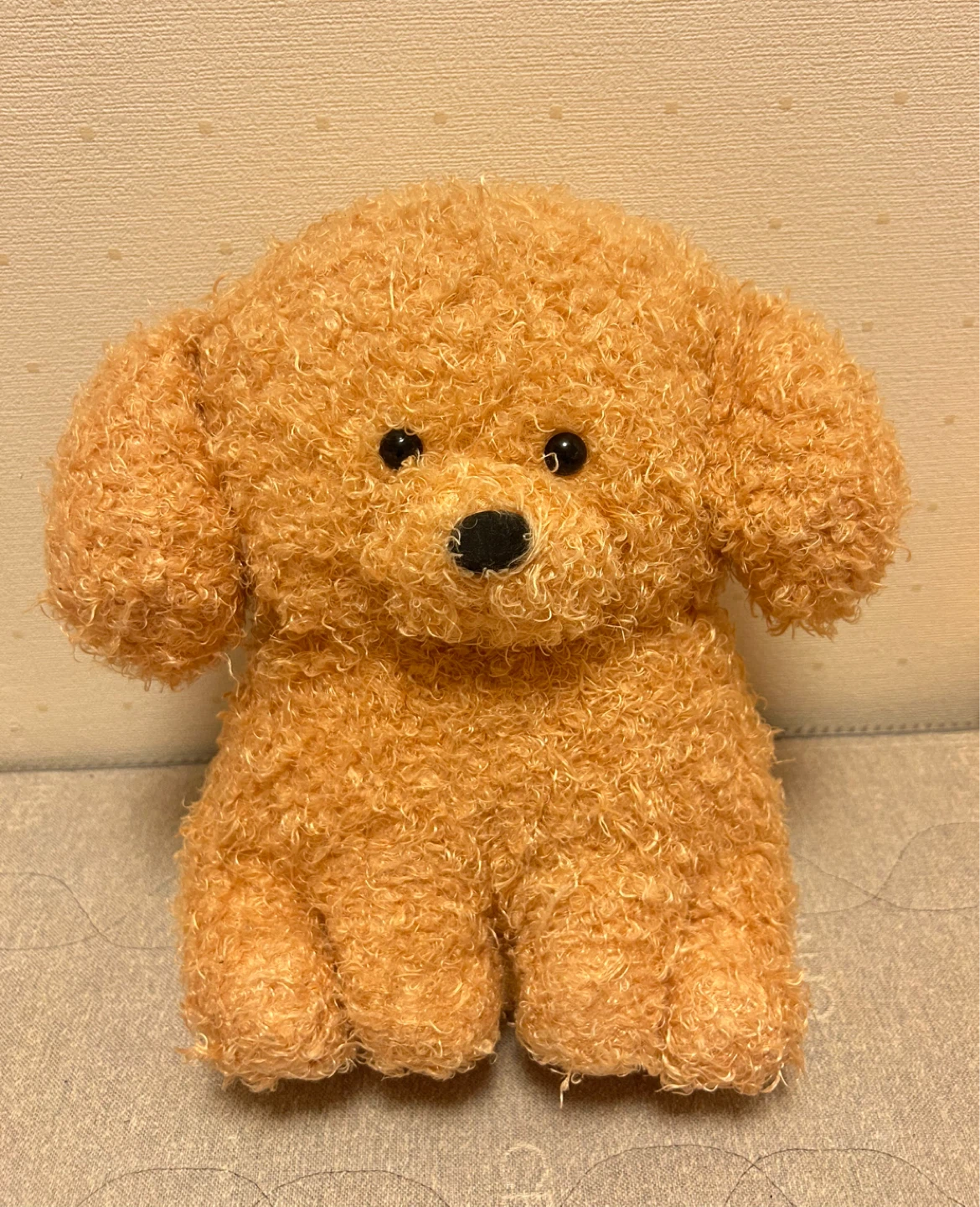 モコフィ トイプードル ぬいぐるみ