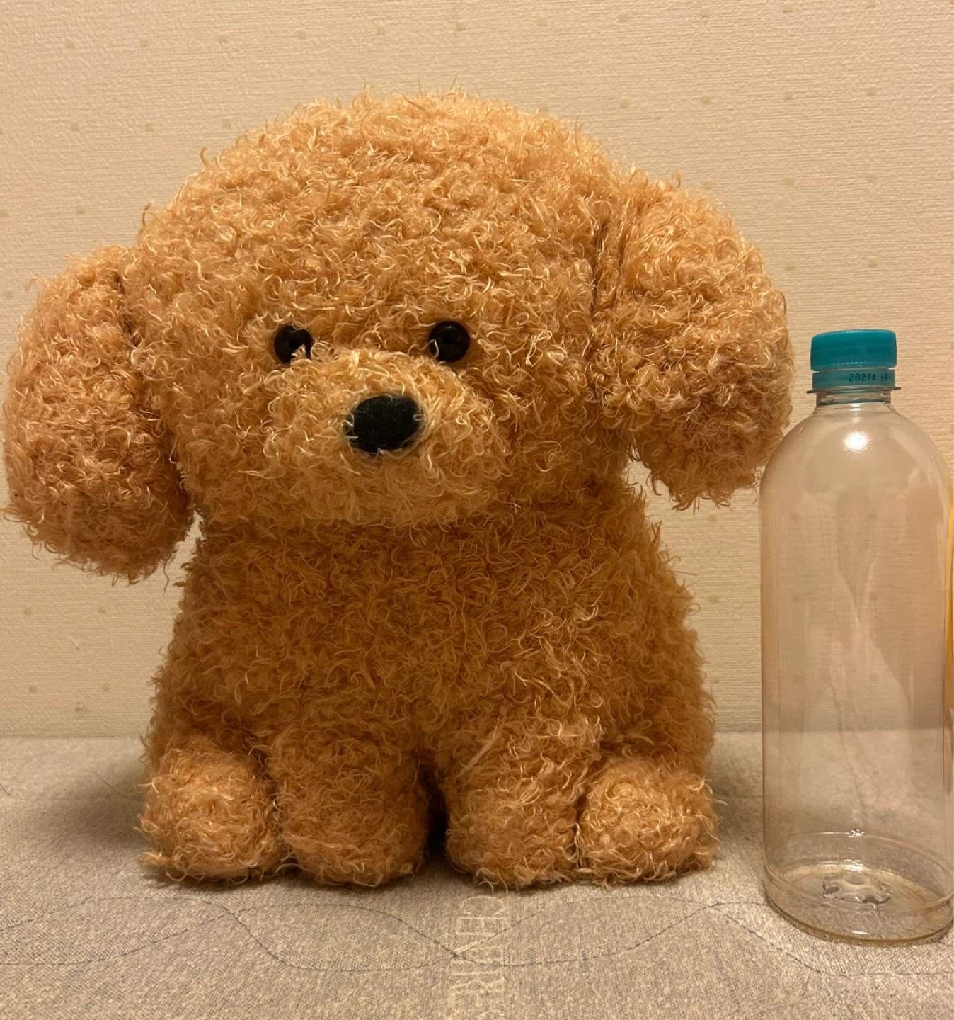 モコフィ トイプードル ぬいぐるみの写真5枚目