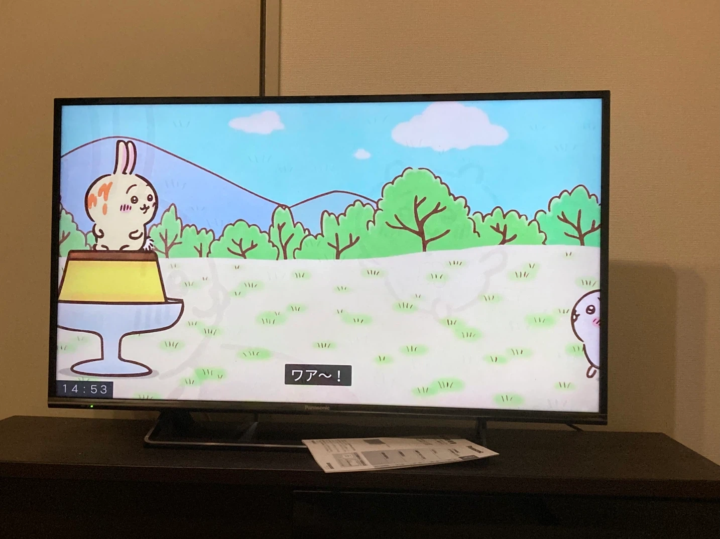 【10月末まで】パナソニック 40型 液晶テレビ ビエラ TH-40DX600の写真7枚目