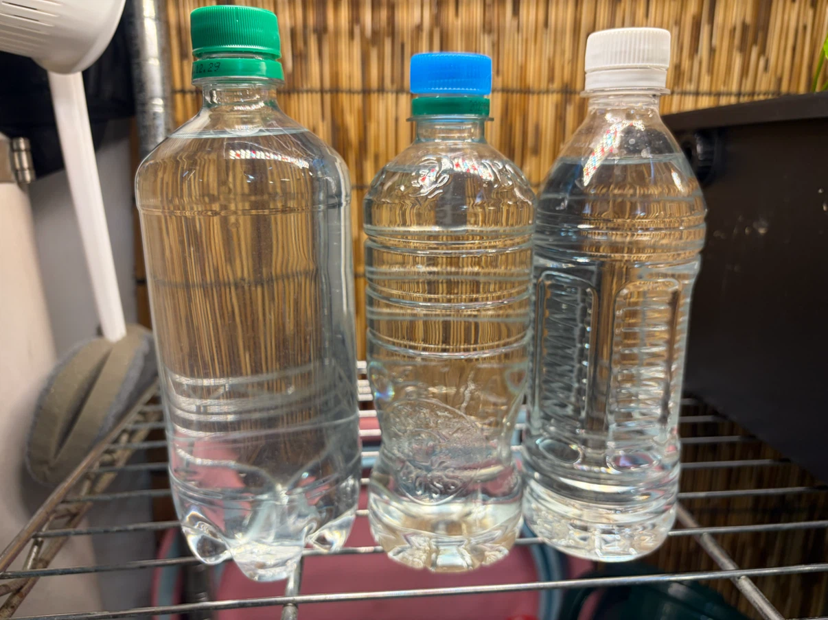 ✨ゾウリムシ500ml 1本✨メダカの針子や稚魚の育成に‼️
