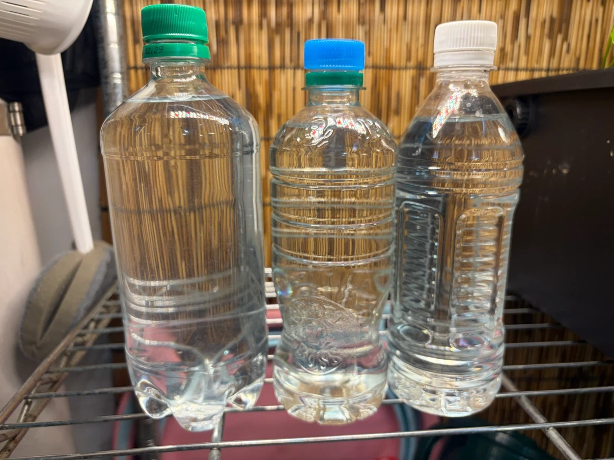 ✨ゾウリムシ500ml 1本✨メダカの針子や稚魚の育成に‼️