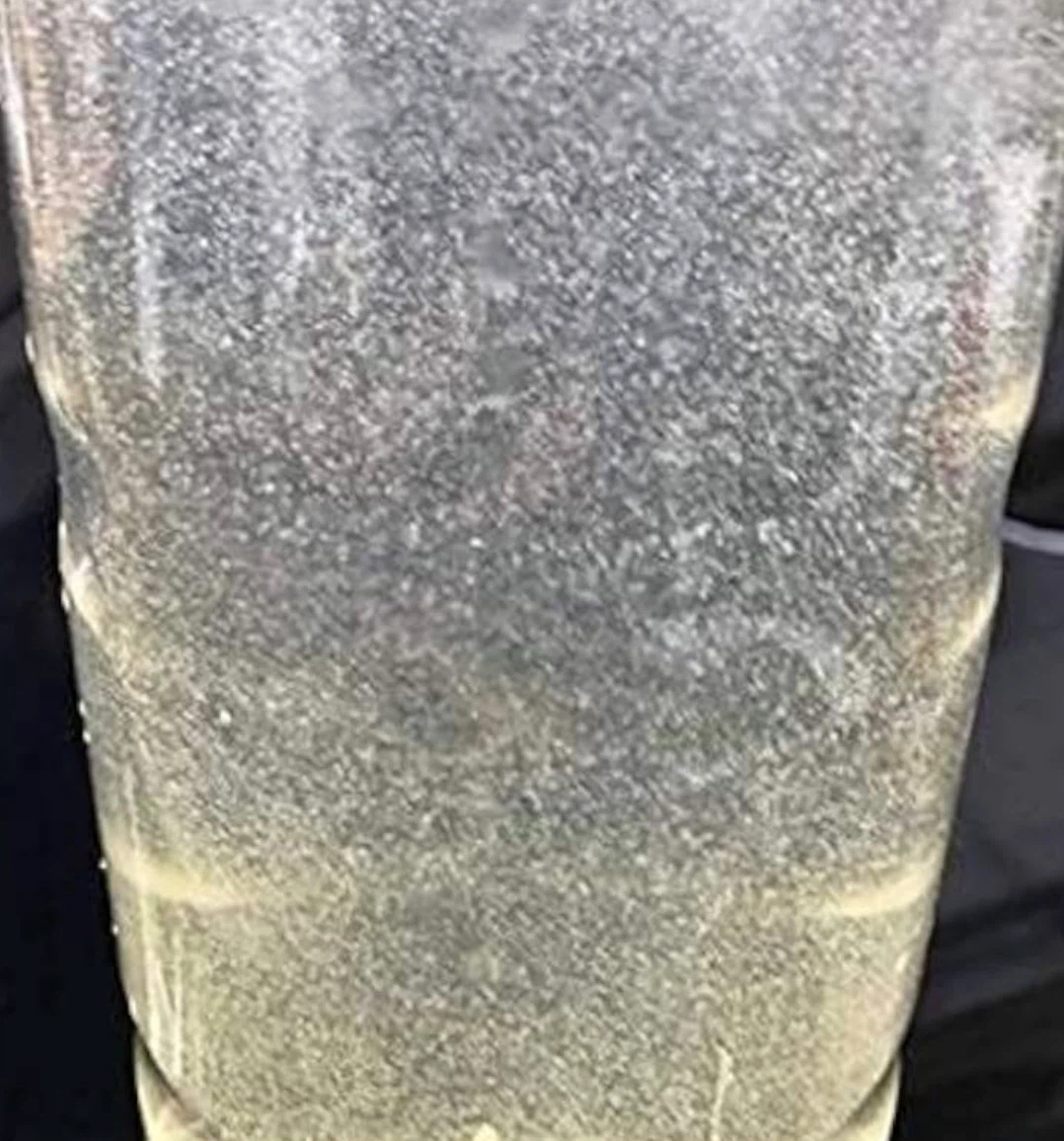 ✨ゾウリムシ500ml 1本✨メダカの針子や稚魚の育成に‼️の写真2枚目