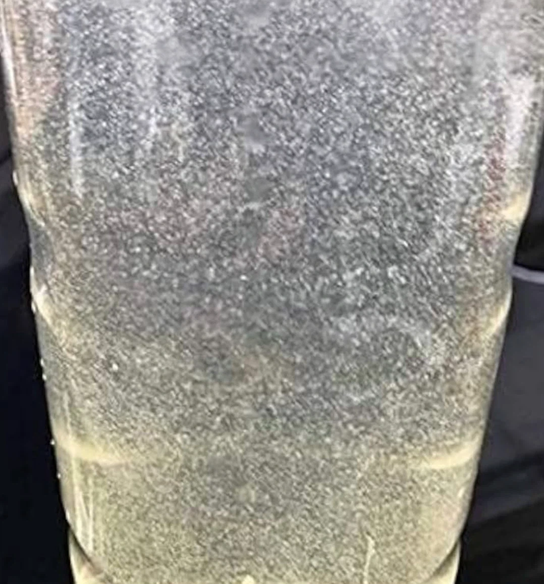 ✨ゾウリムシ500ml 1本✨メダカの針子や稚魚の育成に‼️の写真2枚目