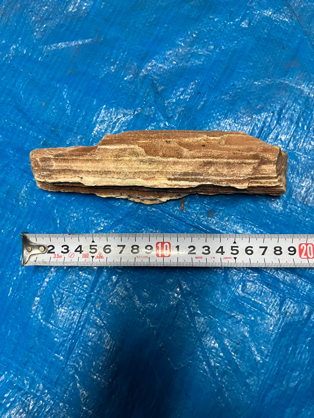 ❷珪化木  木化石 天然石 インテリア