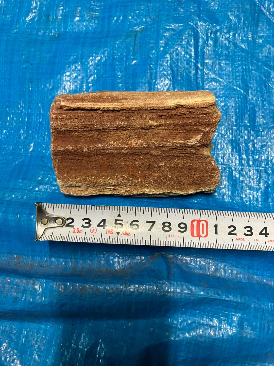 ❹珪化木 樹木の化石 原石