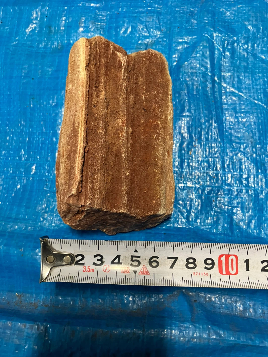 ❹珪化木 樹木の化石 原石の写真2枚目