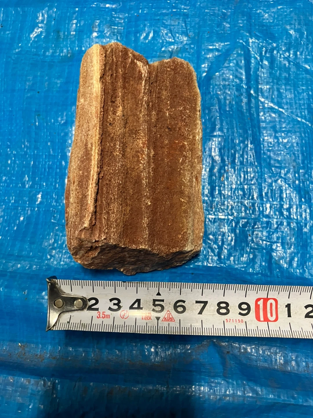 ❹珪化木 樹木の化石 原石の写真2枚目