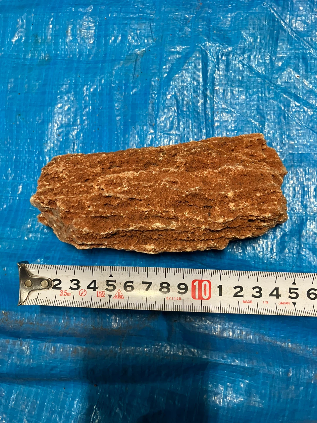 ❺珪化木 樹木の化石 原石
