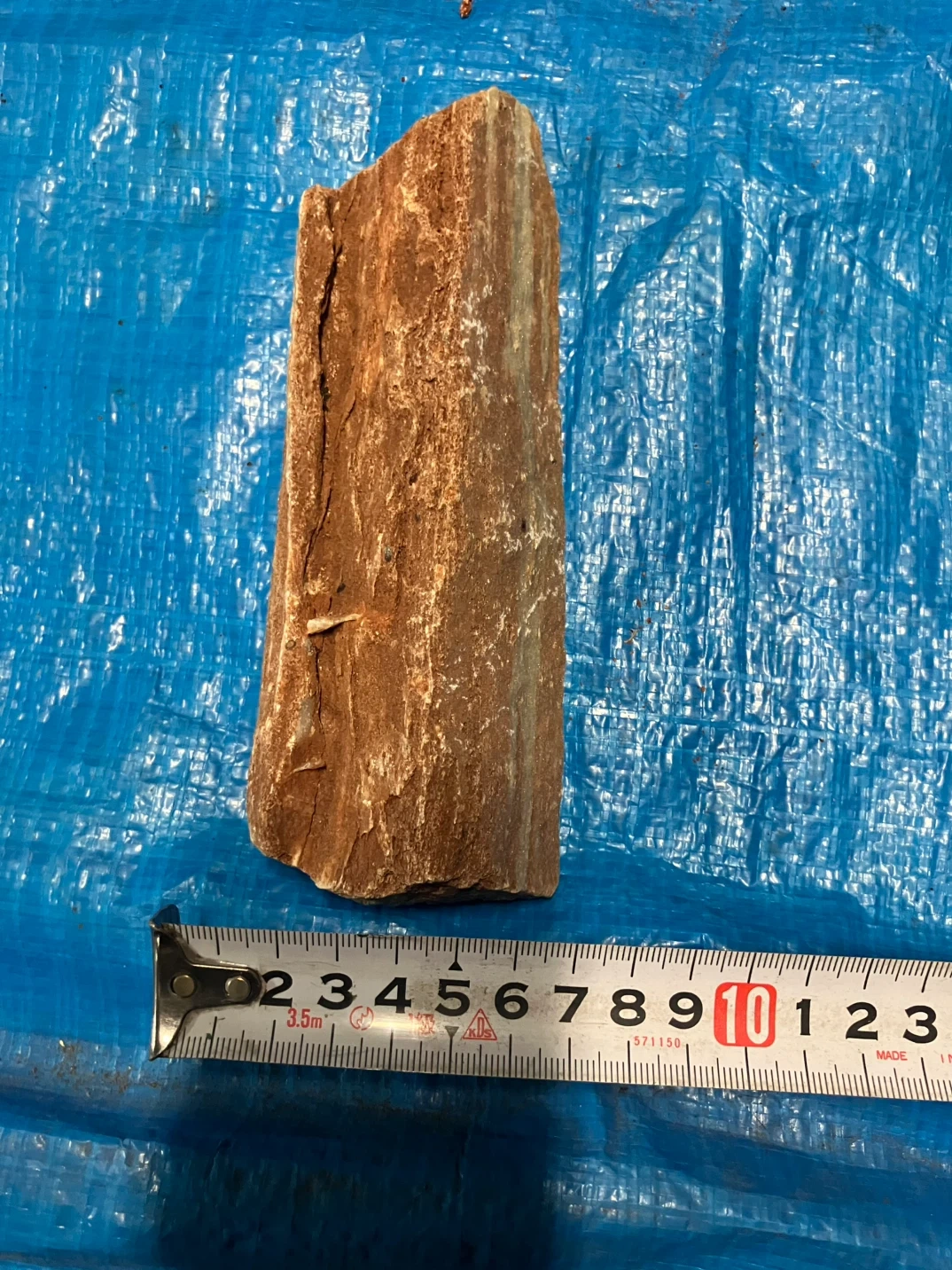 ❻珪化木 樹木の化石 原石