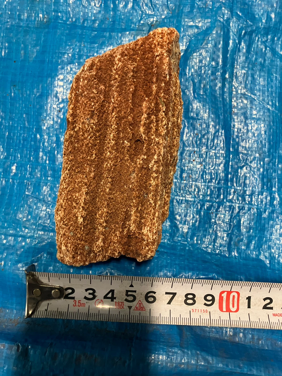 ❼珪化木 樹木の化石 原石