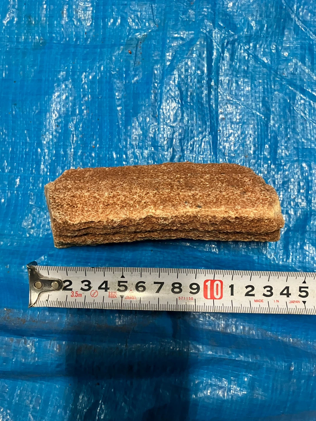 ❽珪化木 樹木の化石 原石