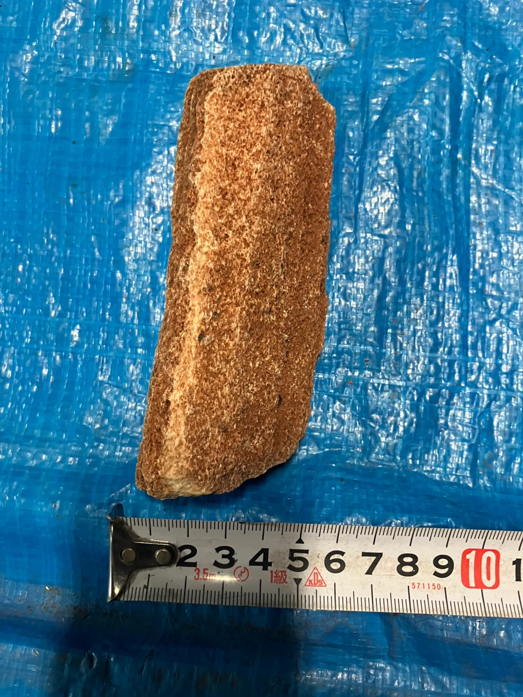 ❽珪化木 樹木の化石 原石の写真2枚目