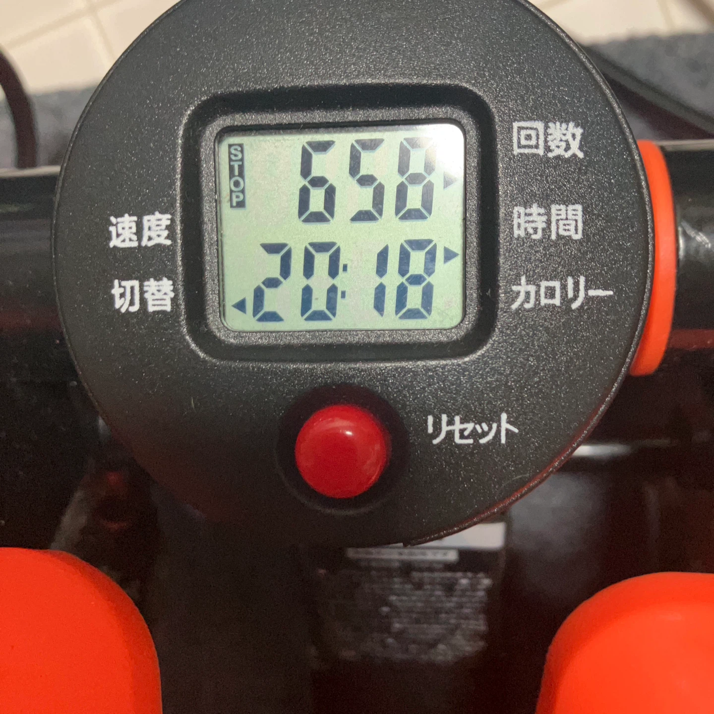 パイクスピーク ツイストステッパーの写真5枚目