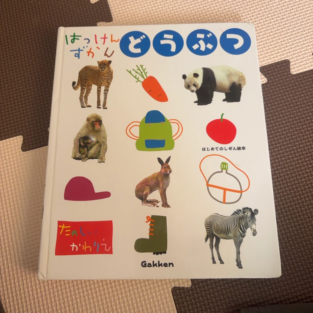 学研 はっけんずかん どうぶつ 絵本