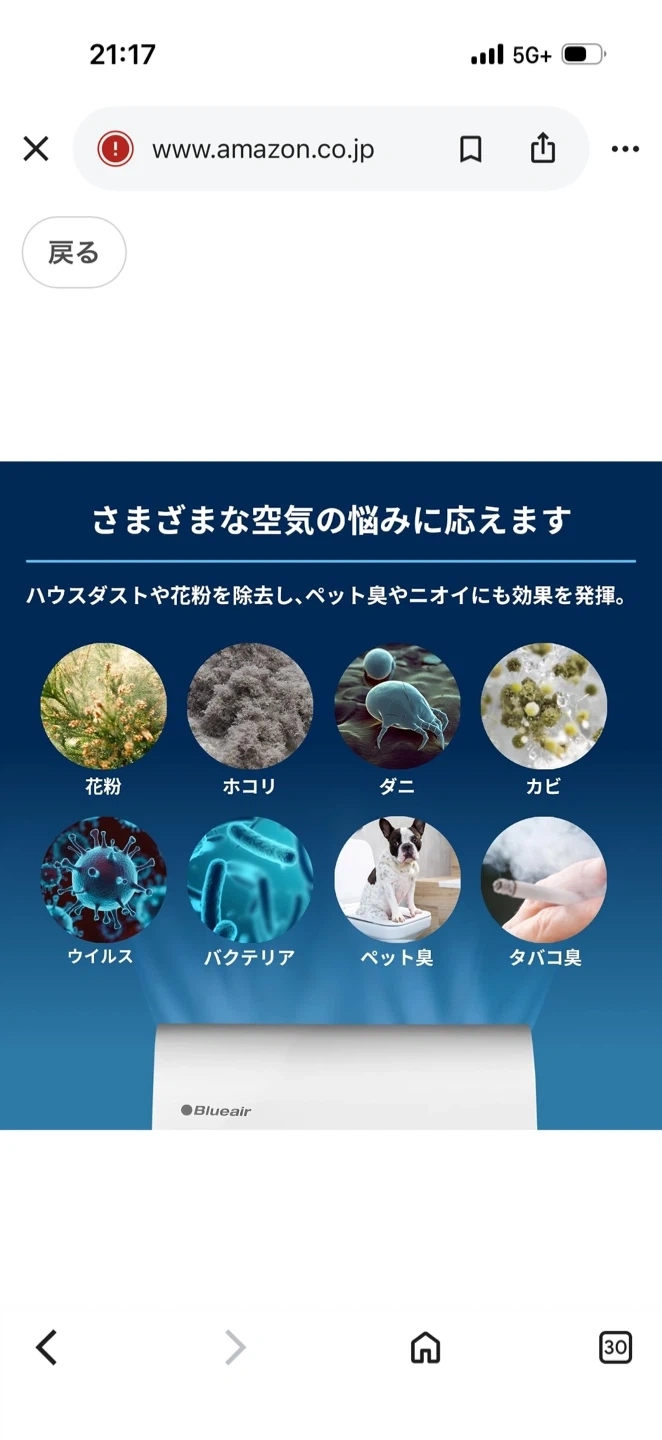 空気清浄機ブルーエア プロテクト 7410iの写真3枚目