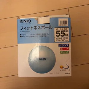 イグニオ フィットネスボール 55cm アクアブルー