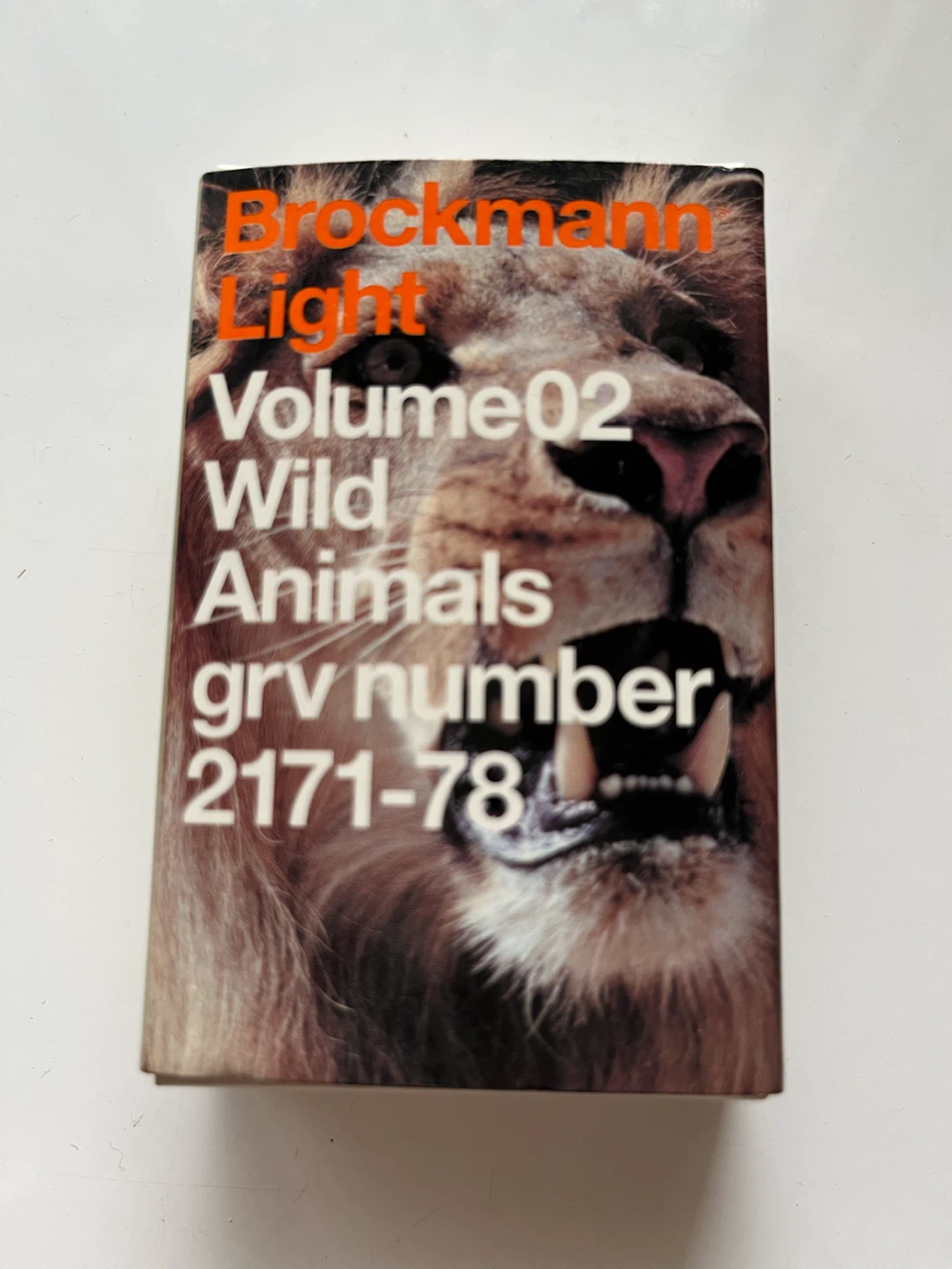 【Brockmann Light】Deerの写真2枚目