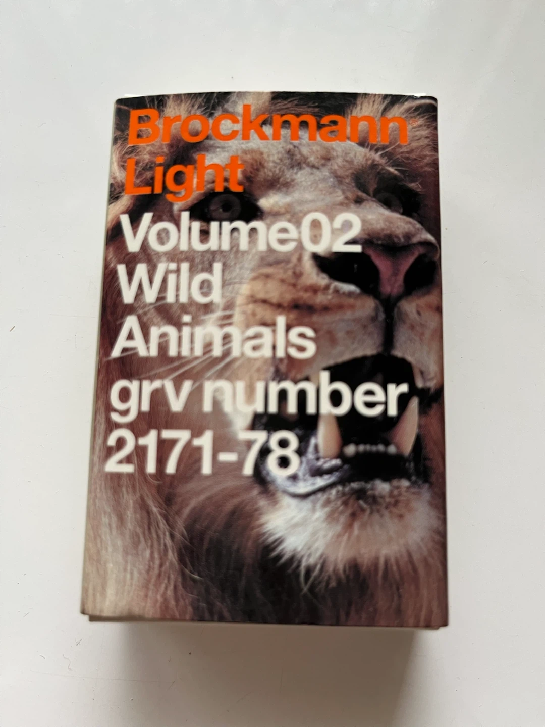 【Brockmann Light】Deerの写真2枚目