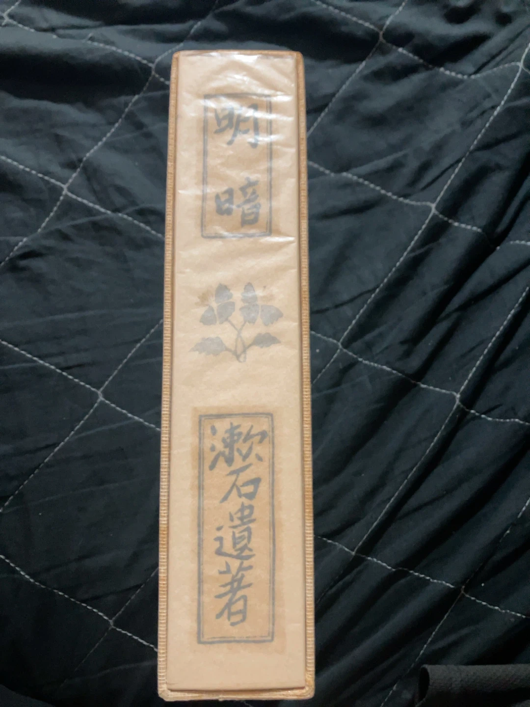 夏目漱石 明暗 復刻版 漱石文学館の写真2枚目