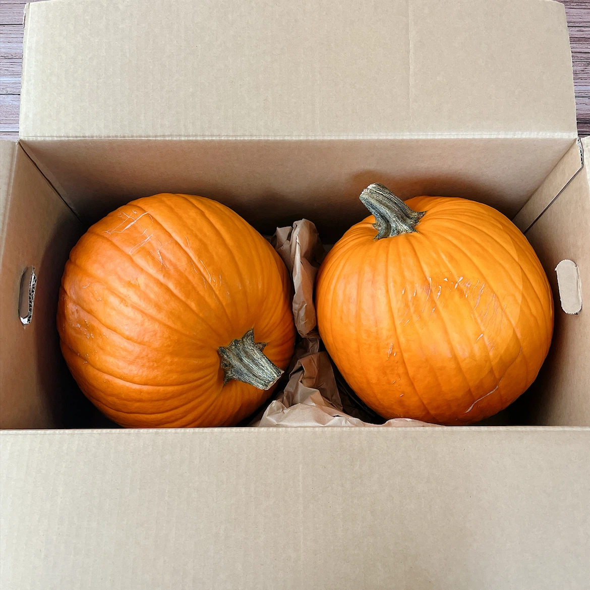 ハロウィン用 パンプキン 2個セット 顔シール付き
