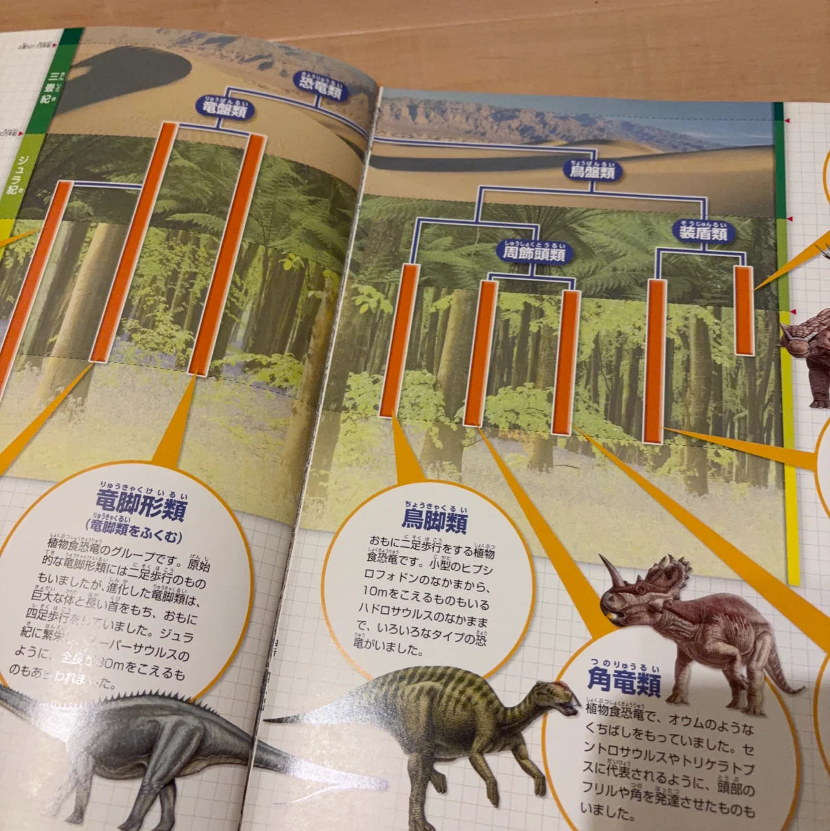 講談社の動く図鑑MOVE 恐竜 特装版 DVD付の写真3枚目
