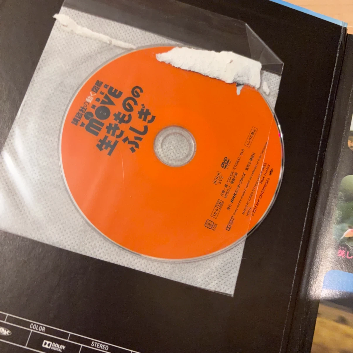 講談社の動く図鑑MOVE 生きもののふしぎ DVD付の写真2枚目