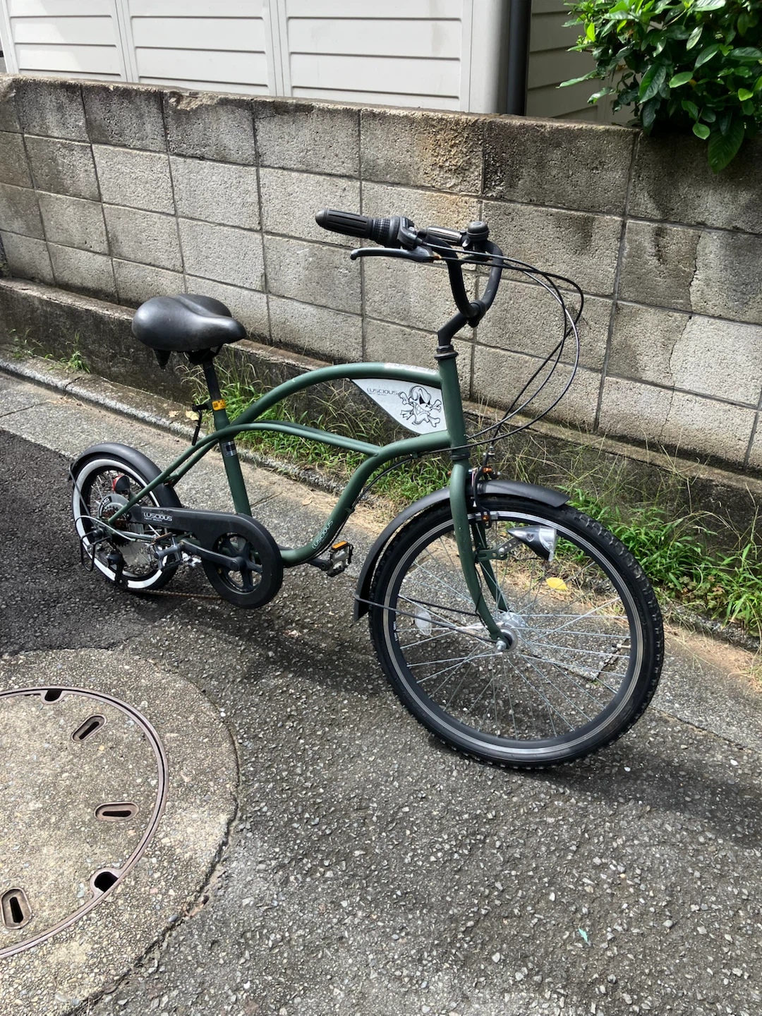 ラシャス ナイトビーチ 自転車 カーキ