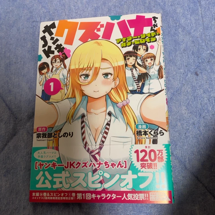 ヤンキーJKクズハナちゃん 漫画まとめ売りの写真4枚目